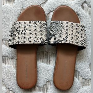 Madden Girl Farrin Sandal- snake skin spikes